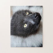 Zwart-witte rode luur, puzzel legpuzzel (Verticaal)