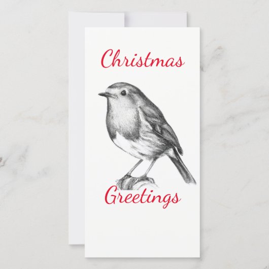 Zwart-witte roodborst (Voorkant)