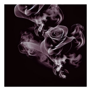 Zwart - witte roos - abstract. perfect poster