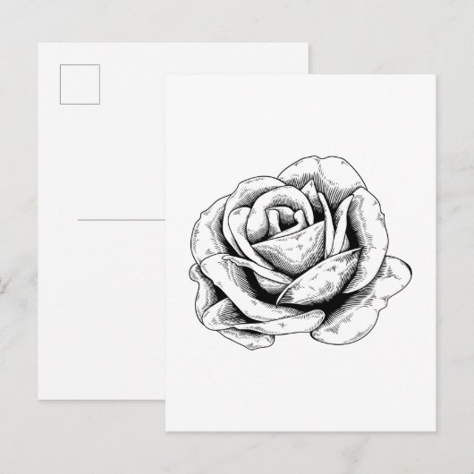 Zwart-witte roos briefkaart (Voorkant / Achterkant)