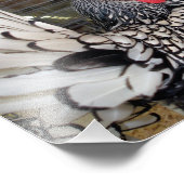 Zwart-witte rooster met staart in kooi foto afdruk (Hoek)