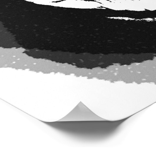 Zwart-witte roze afbeelding poster (Hoek)