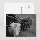 Zwart-witte roze briefkaart (Voorkant / Achterkant)