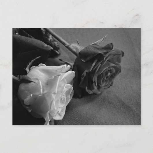 Zwart-witte roze briefkaart (Voorkant)