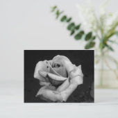 Zwart-witte roze briefkaart (Staand voorkant)