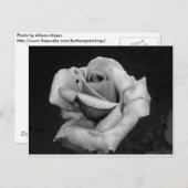 Zwart-witte roze briefkaart (Voorkant / Achterkant)