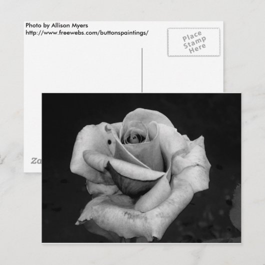 Zwart-witte roze briefkaart (Voorkant / Achterkant)