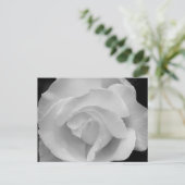 Zwart-witte roze briefkaart (Staand voorkant)