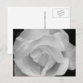 Zwart-witte roze briefkaart (Voorkant / Achterkant)