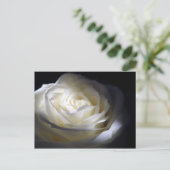 Zwart-witte roze briefkaart (Staand voorkant)