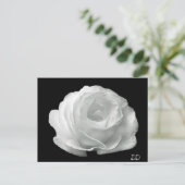 Zwart-witte roze briefkaart (Staand voorkant)