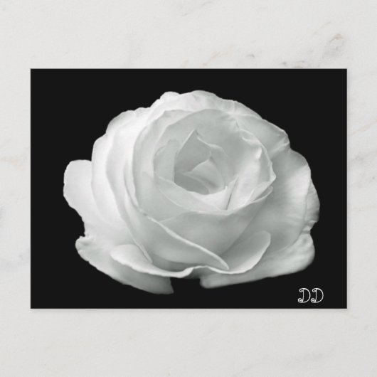 Zwart-witte roze briefkaart (Voorkant)