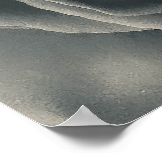 Zwart-witte roze poster (Hoek)