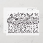 Zwart-witte rozen Pen en inkt tekening Briefkaart (Voorkant / Achterkant)