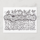 Zwart-witte rozen Pen en inkt tekening Briefkaart (Voorkant)