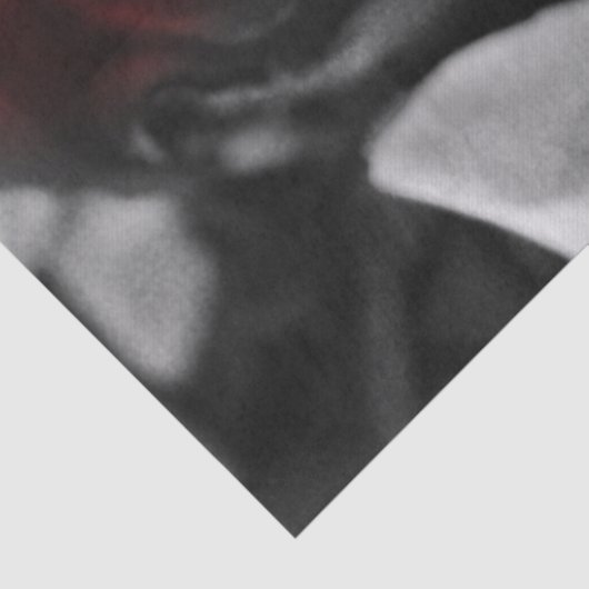 Zwart-witte rozen vervagen tissuepapier (Detail)