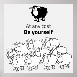 Zwart-witte schapen poster