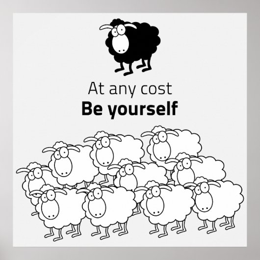 Zwart-witte schapen poster (Voorkant)
