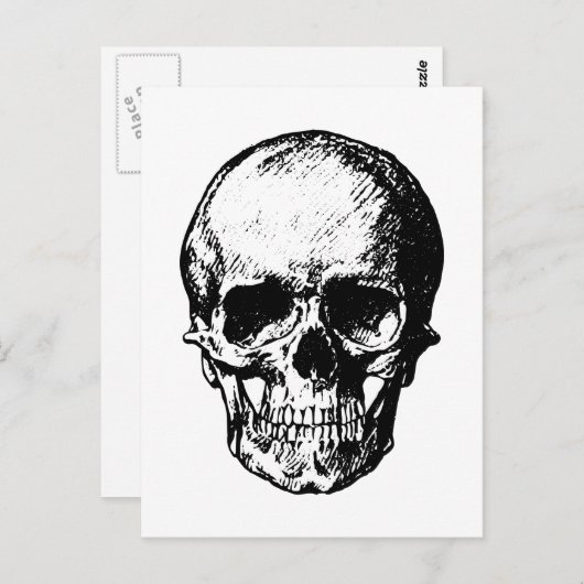 Zwart-witte  schedelillustratie briefkaart (Voorkant / Achterkant)