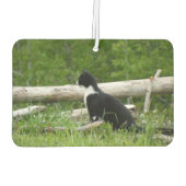 Zwart-witte schuur Kitten Luchtverfrisser (Achterkant)