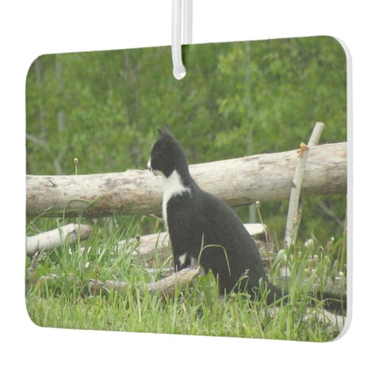 Zwart-witte schuur Kitten Luchtverfrisser (Links)