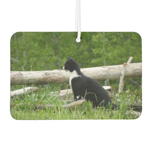 Zwart-witte schuur Kitten Luchtverfrisser (Voorkant)