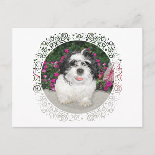 Zwart & Witte Shih Tzu Puppy Reddingshond Briefkaart