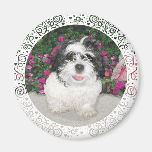 Zwart & Witte Shih Tzu Puppy Reddingshond Magneet