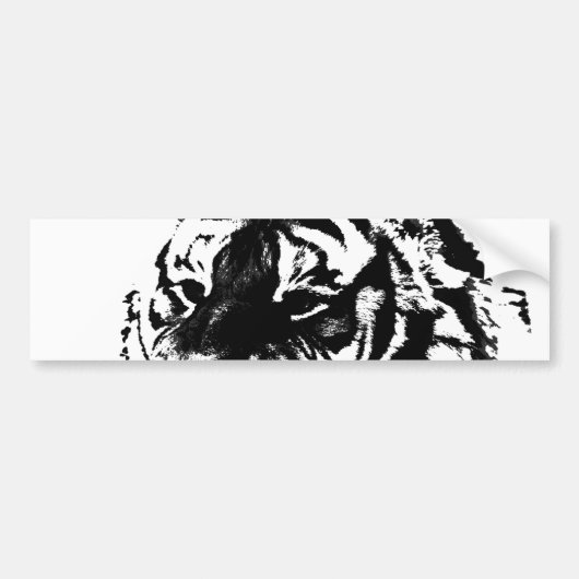 Zwart & Witte Siberische Tijger Bumpersticker (Voorkant)
