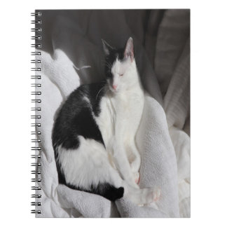 Zwart-Witte Slaande Kat/Voeg Foto van Je Huisdier  Notitieboek