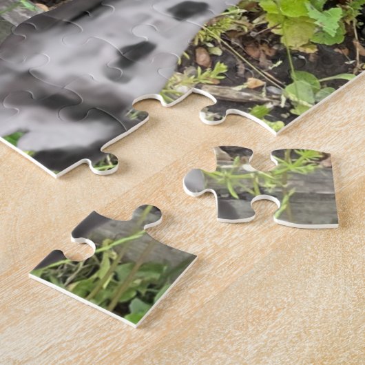 Zwart-witte spaanspaniel tegen een ventilator legpuzzel (Zijkant)