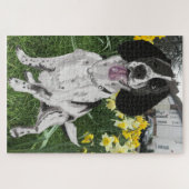Zwart-witte Springer Spaniel tegenover Narcissen Legpuzzel (Horizontaal)