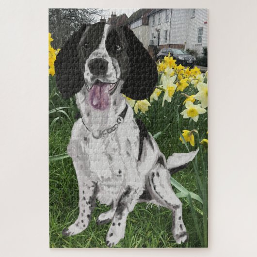 Zwart-witte Springer Spaniel tegenover Narcissen Legpuzzel (Verticaal)