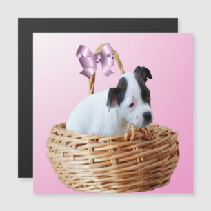 Zwart-witte Staffordshire-puppy, magnetische kaart
