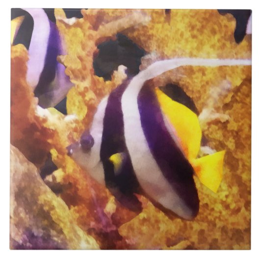 Zwart-witte stripvis tegeltje (Voorkant)