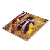 Zwart-witte stripvis tegeltje (Zijkant)