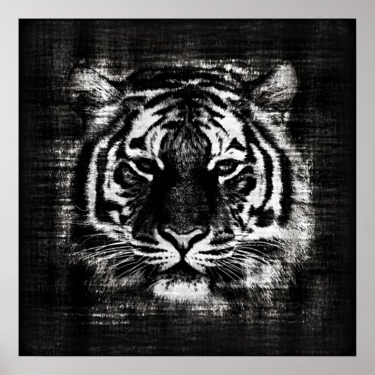 Zwart-witte Tiger Vintage-affiches Poster (Voorkant)