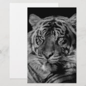 Zwart & Witte Tijger Briefpapier (Voorkant / Achterkant)