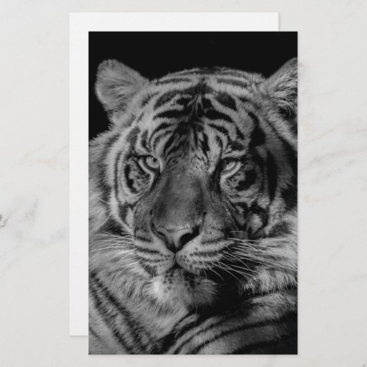 Zwart & Witte Tijger Briefpapier (Voorkant / Achterkant)