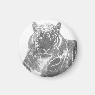 Zwart-Witte Tijger Magneet