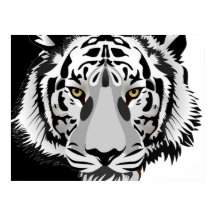 Zwart Witte Tijger