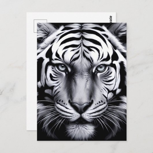 Zwart-witte tijger (update) briefkaart (Voorkant / Achterkant)