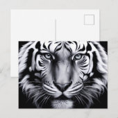Zwart-witte tijger (update) briefkaart (Voorkant / Achterkant)