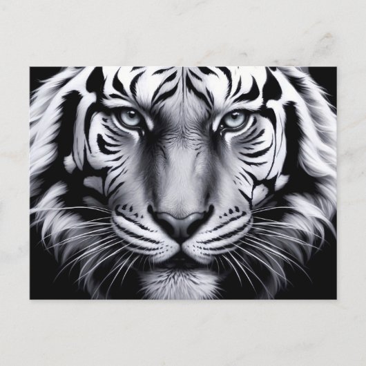 Zwart-witte tijger (update) briefkaart (Voorkant)