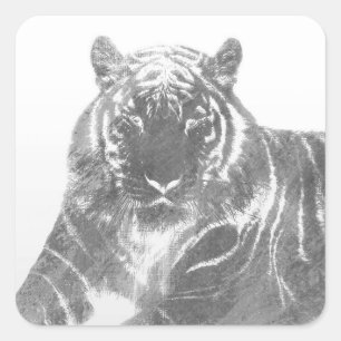 Zwart-Witte Tijger Vierkante Sticker
