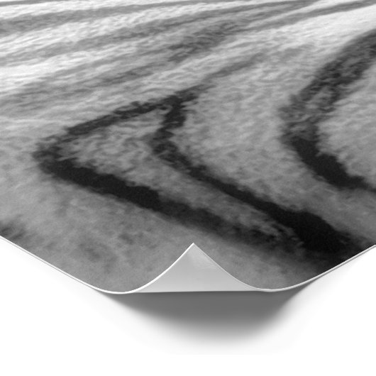 Zwart-witte tijgerafdrukken poster (Hoek)