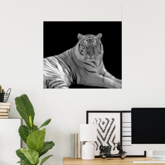 Zwart-witte tijgerafdrukken poster (Thuiskantoor)