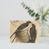  zwart-witte Tortelduifjes schilderen Briefkaart (Staand voorkant)