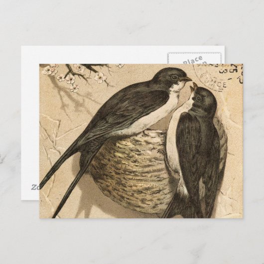  zwart-witte Tortelduifjes schilderen Briefkaart (Voorkant / Achterkant)