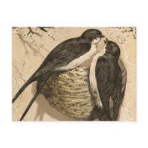 zwart-witte Tortelduifjes schilderen